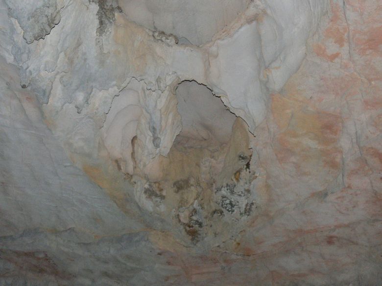 p1120421.jpg