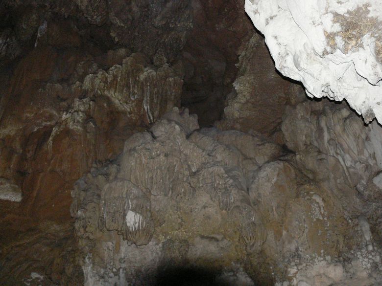 p1120434.jpg