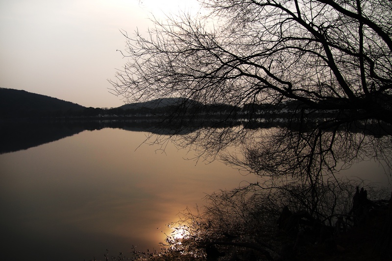 k1045906.jpg
