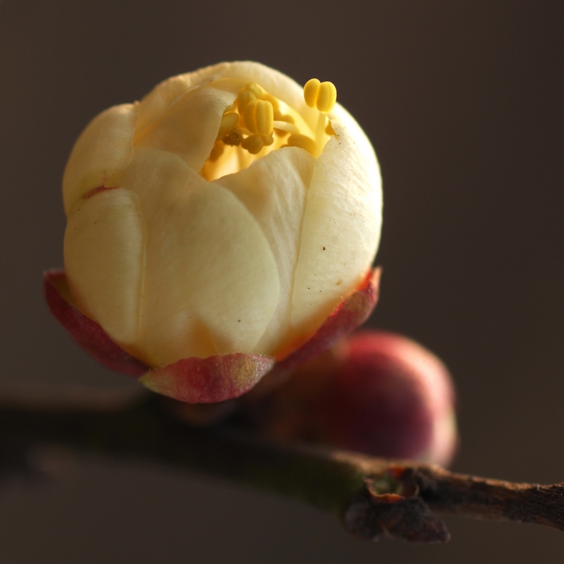 k1045861.jpg
