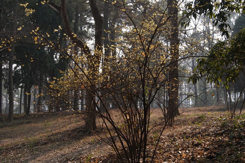 k1045804.jpg
