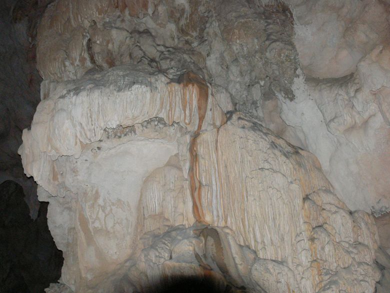p1120441.jpg