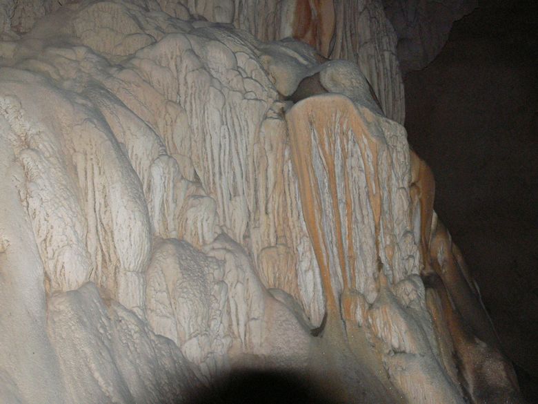 p1120439.jpg