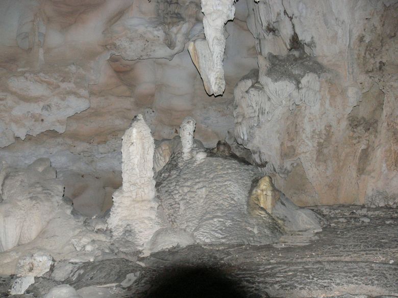 p1120444.jpg