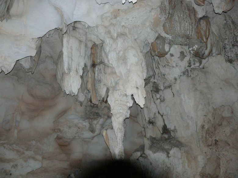 p1120445.jpg