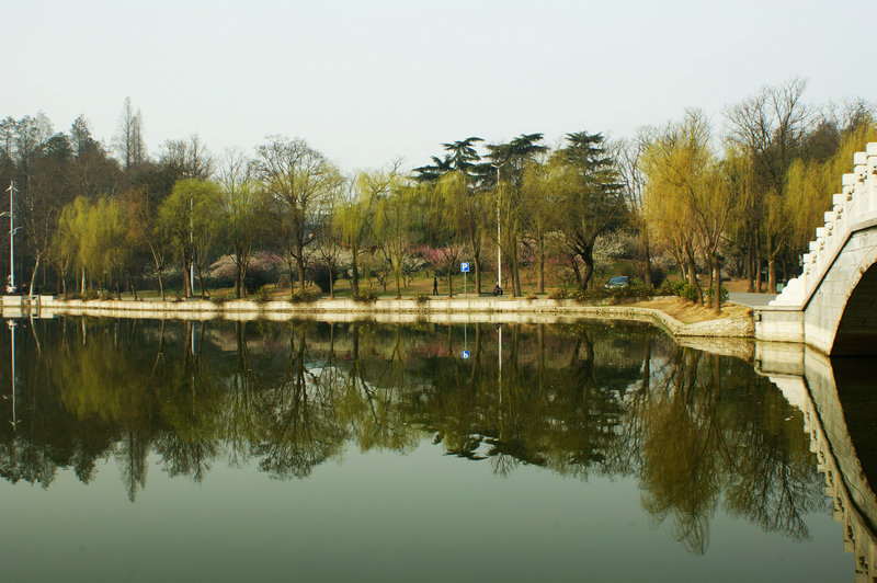 dsc03129.jpg