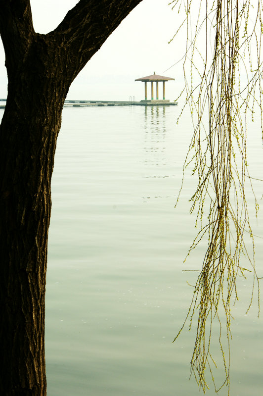 dsc03153.jpg