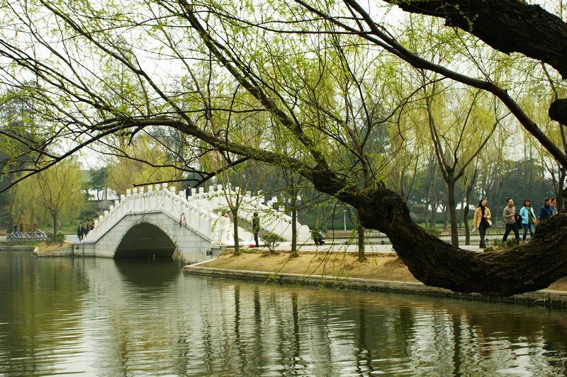 dsc03316.jpg