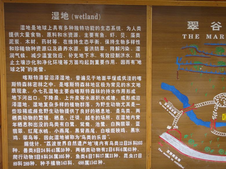 dsc03099.jpg