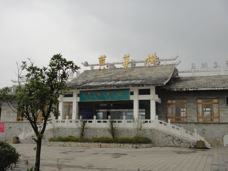 dsc03110.jpg