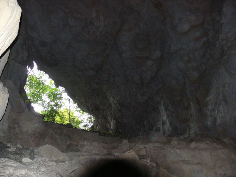 p1120477.jpg