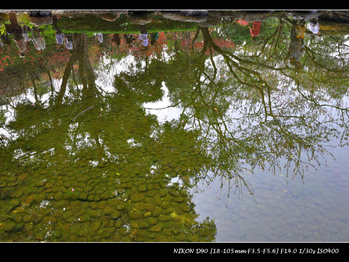 dsc_0032.jpg
