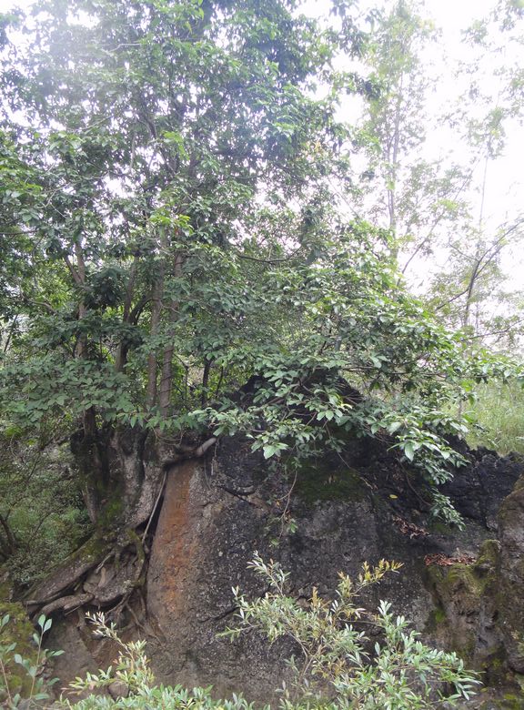 dsc03177.jpg