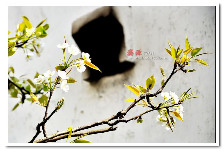 neo_img_pdsc_3845.jpg