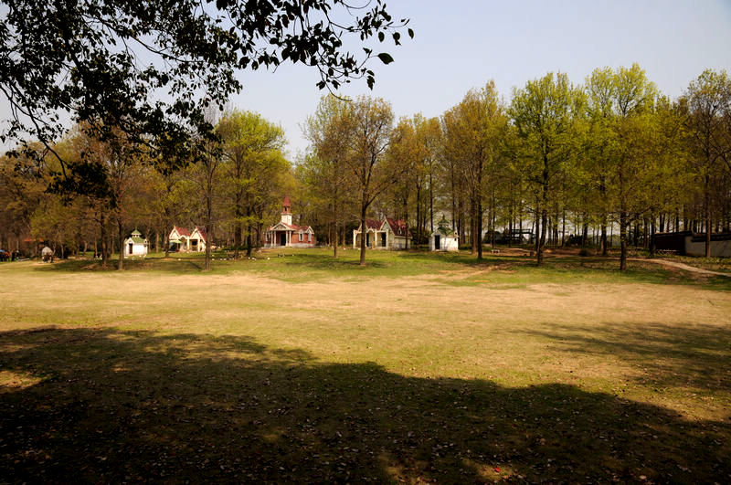 neo_img_001 004.jpg