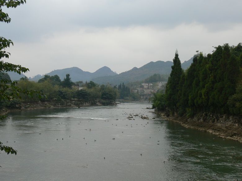 p1120798.jpg