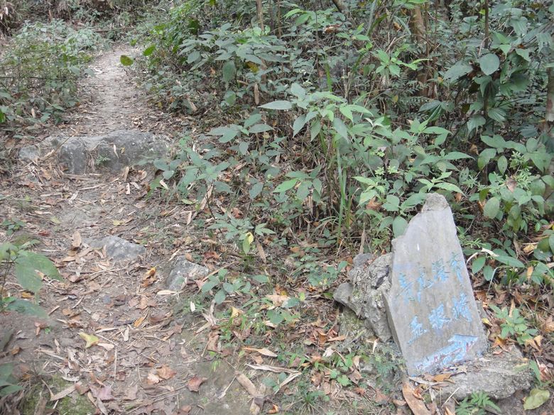 dsc02886.jpg