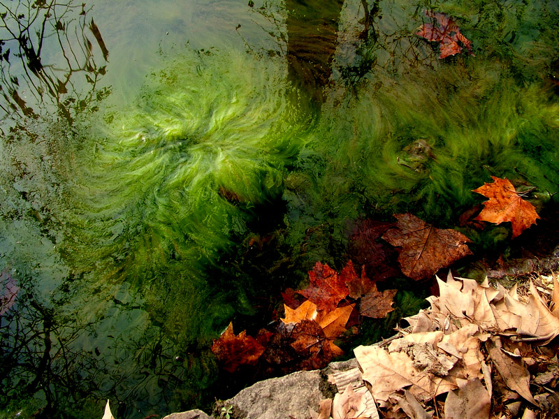 dscf2495.jpg