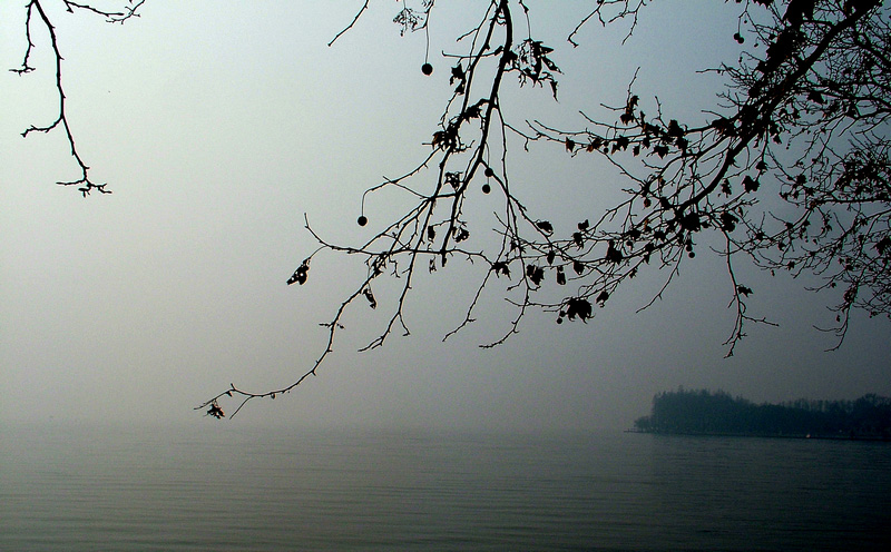 dscf2498.jpg