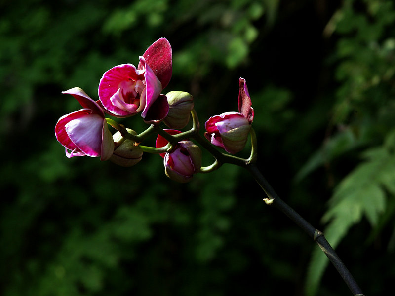 imgp9842.jpg