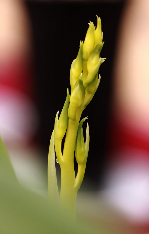 img_5982.jpg