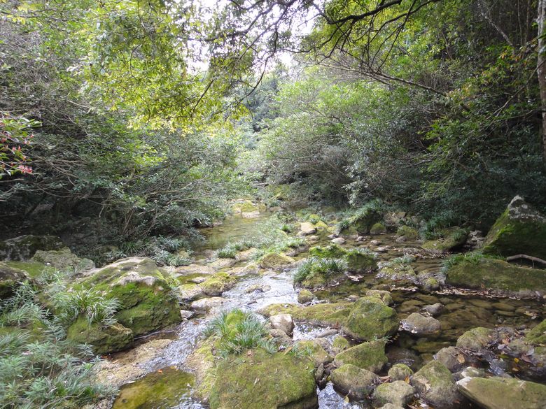 dsc02914.jpg