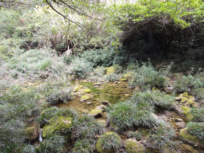 dsc02913.jpg