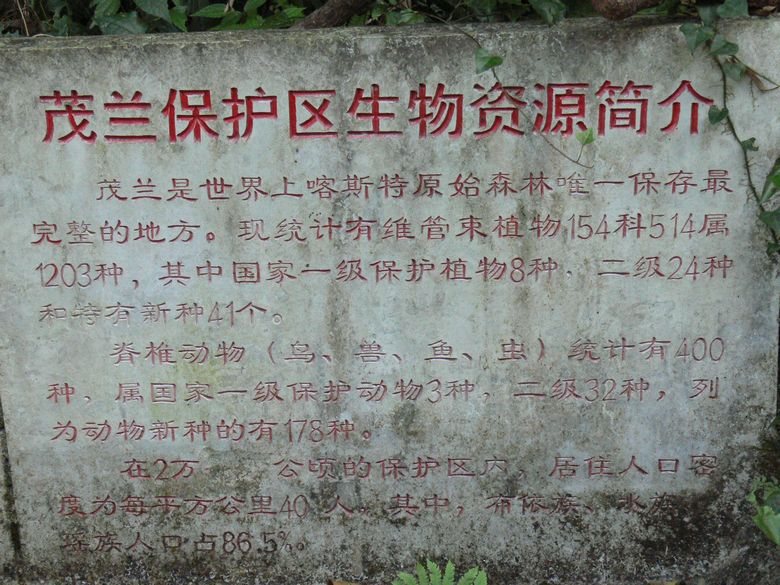 p1120514.jpg