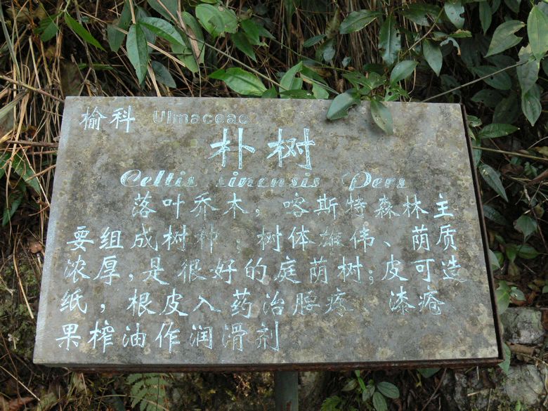 p1120515.jpg