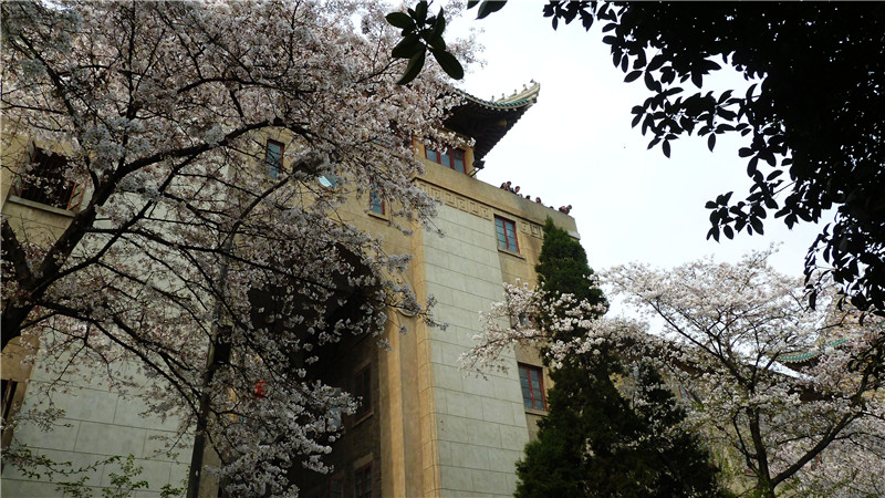 p1010601_.jpg