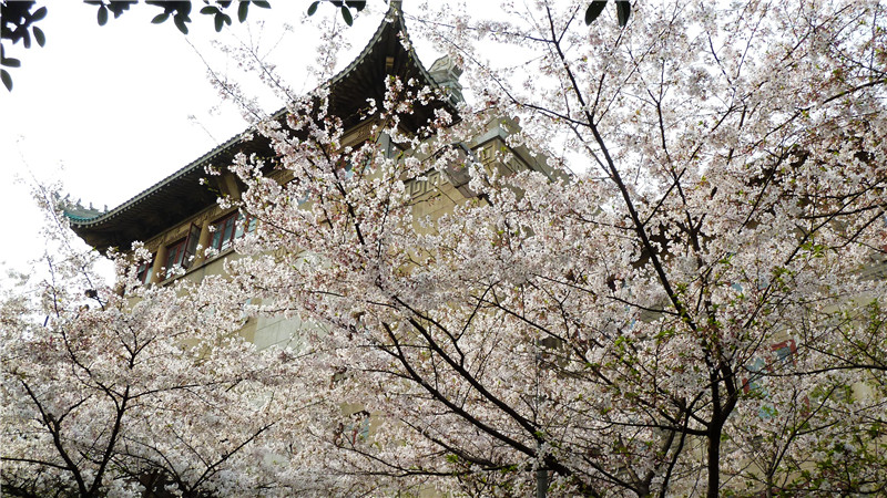 p1010600_.jpg