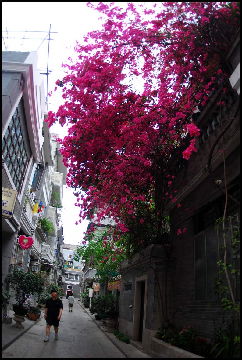 dsc_0917.jpg