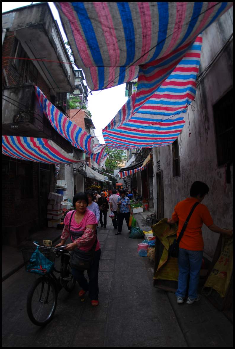 dsc_0944.jpg