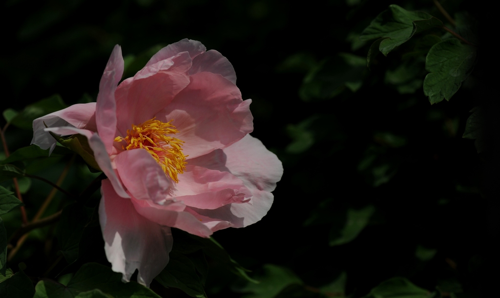 dsc_2087.jpg