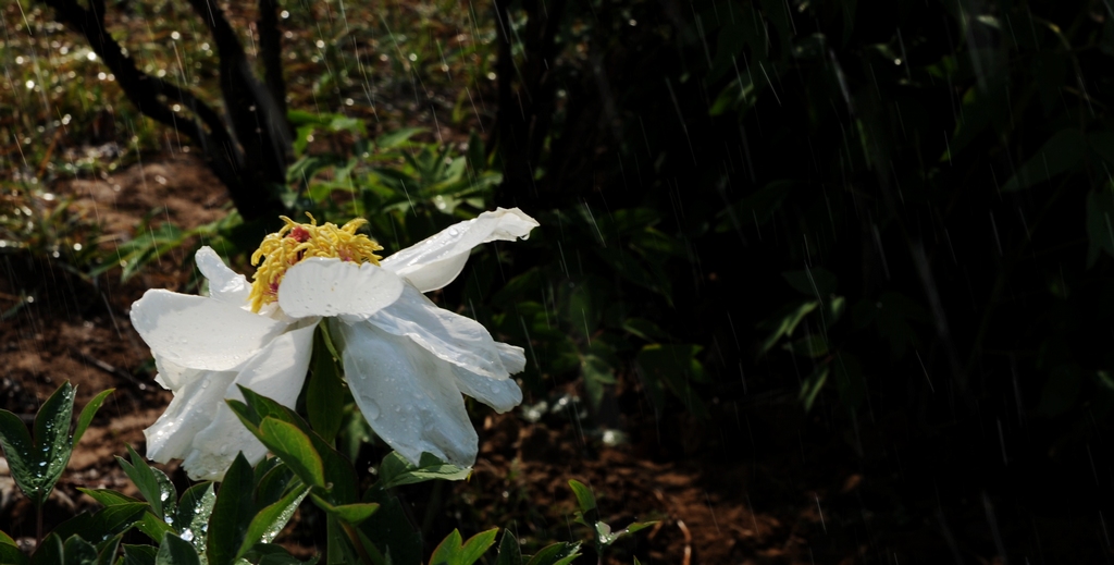 dsc_2161.jpg