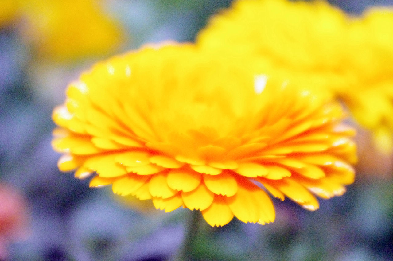 imgp0024.jpg