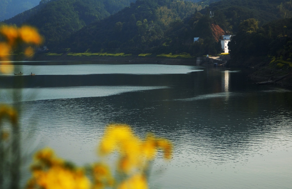 dsc_2548258.jpg