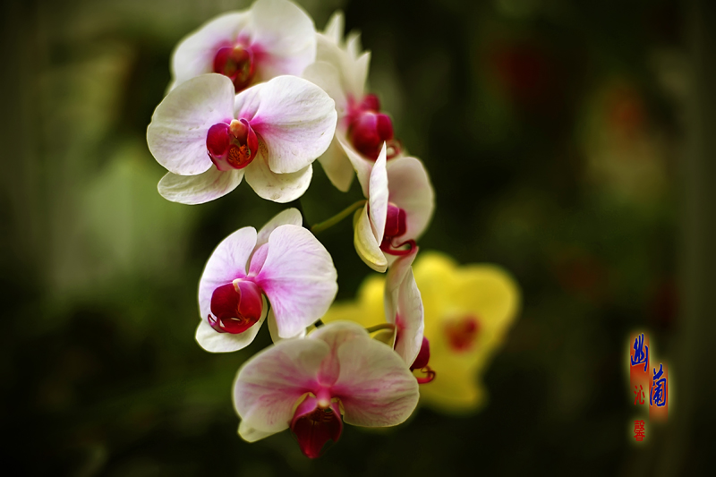 Ƭ 021.jpg