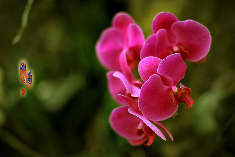 Ƭ 031.jpg