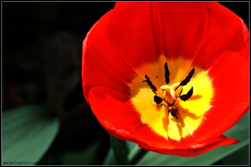 dsc_1153_.jpg