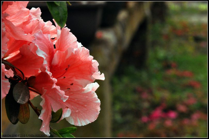 dsc_1258_.jpg