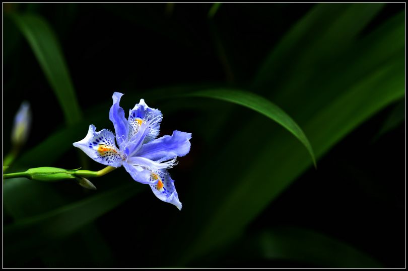 dsc_1358_.jpg