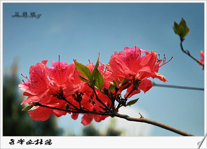 dsc_8267.jpg