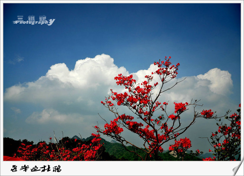 dsc_8286.jpg