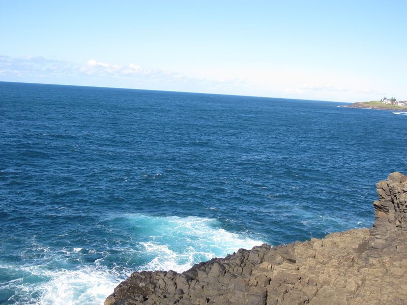 img_0176_cc.jpg