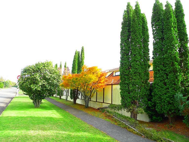 p1070383.jpg