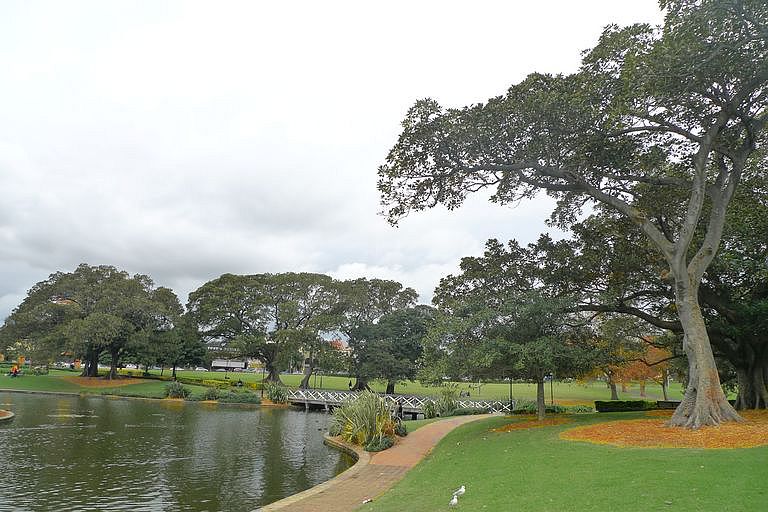 p1060534.jpg