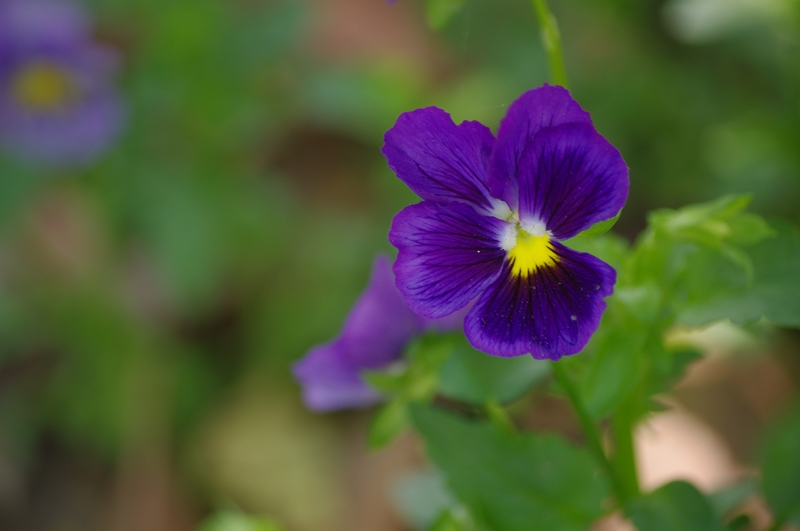 imgp005.jpg