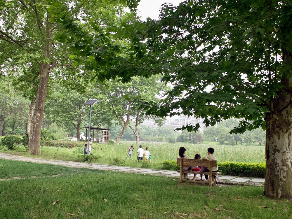 sdim0385.jpg