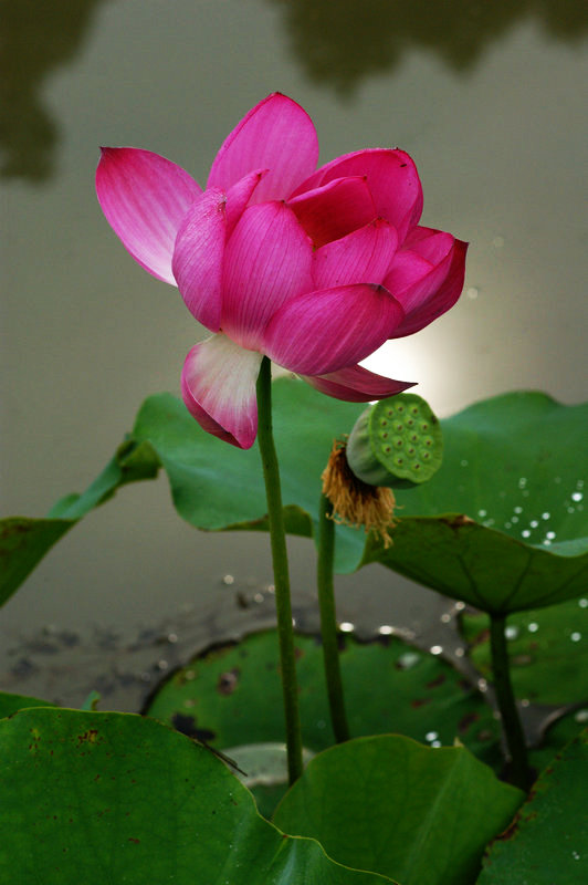 dsc06222.jpg